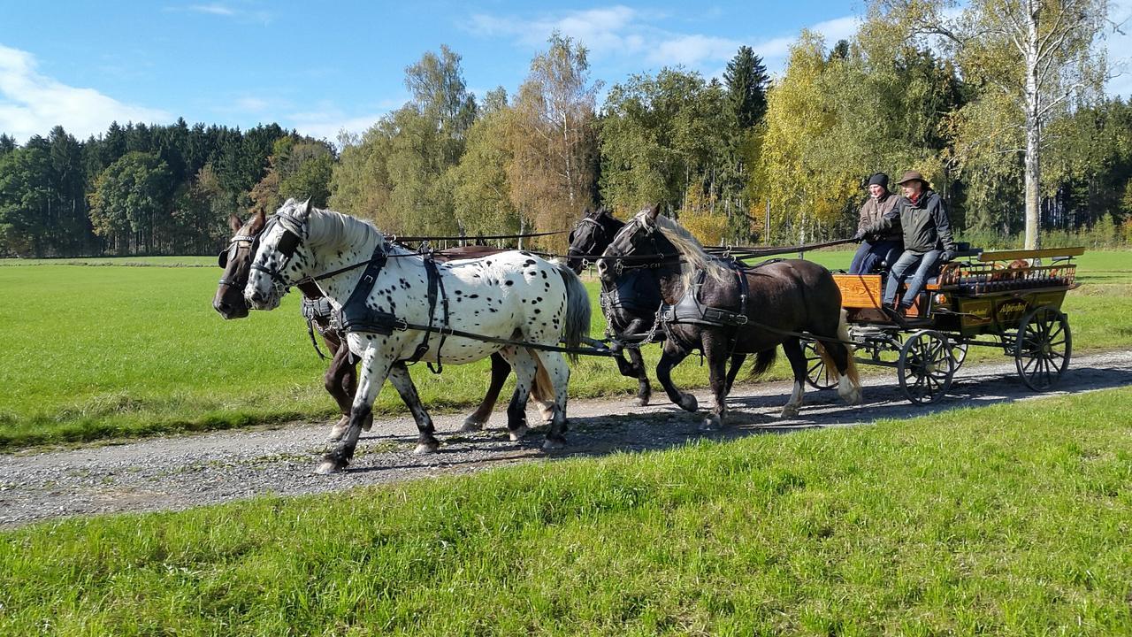 Hotel Alpenhof バート・ヴェリスホーフェン エクステリア 写真