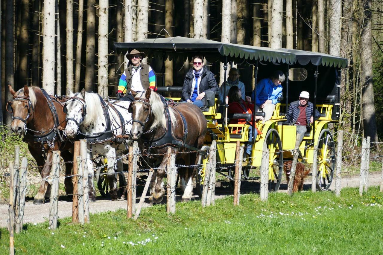 Hotel Alpenhof バート・ヴェリスホーフェン エクステリア 写真