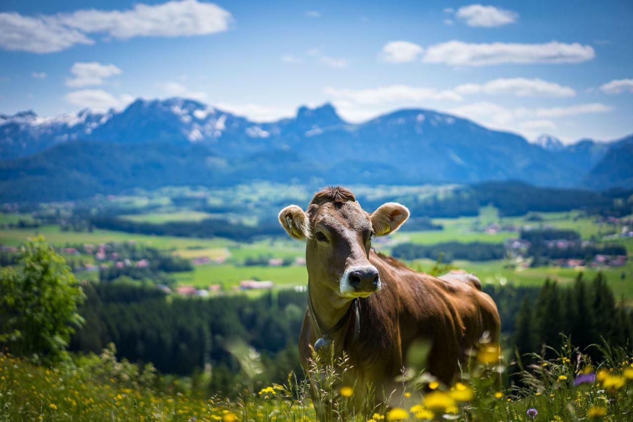 Hotel Alpenhof バート・ヴェリスホーフェン エクステリア 写真