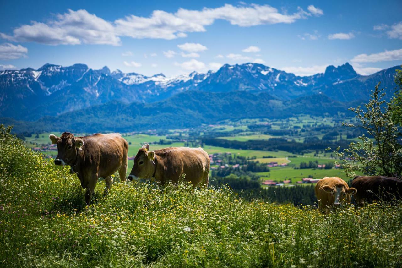 Hotel Alpenhof バート・ヴェリスホーフェン エクステリア 写真
